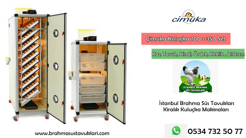 Kuluçka makinası sıcaklık ve nem ayarları nasıl olmalı