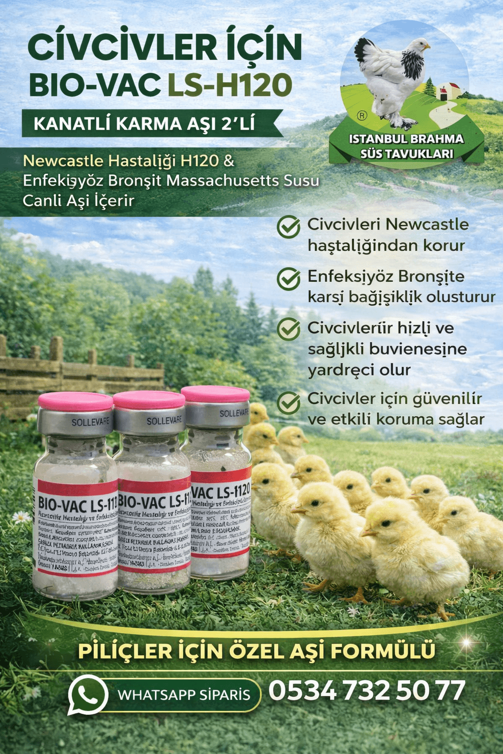 Biovac LS-H120 Kanatlı Karma Aşı 2’li Nedir? Kullanımı ve Faydaları