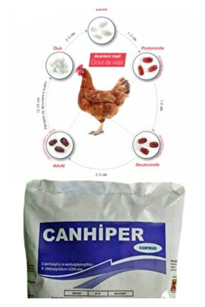 Tavuk Biti - Tavuk Bit İlacı - Bit İlacı - İstanbul Brahma Süs Tavukları